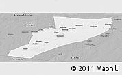 Gray Panoramic Map of Eirunepe
