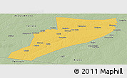 Savanna Style Panoramic Map of Eirunepe