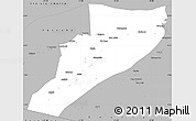 Gray Simple Map of Eirunepe