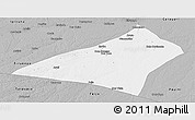Gray Panoramic Map of Envira
