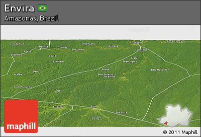 Satellite Panoramic Map of Envira
