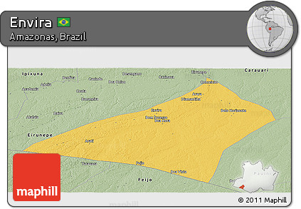 Savanna Style Panoramic Map of Envira