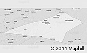 Silver Style Panoramic Map of Envira