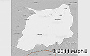 Gray 3D Map of Labrea