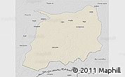 Shaded Relief 3D Map of Labrea, desaturated