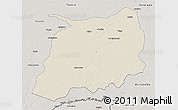 Shaded Relief 3D Map of Labrea, semi-desaturated