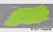 Physical Panoramic Map of Labrea, desaturated