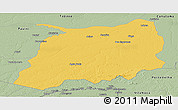 Savanna Style Panoramic Map of Labrea