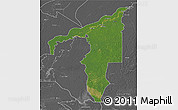 Satellite 3D Map of Manicore, desaturated