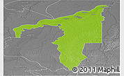 Physical Panoramic Map of Manicore, desaturated