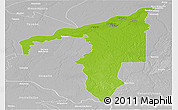 Physical Panoramic Map of Manicore, lighten, desaturated