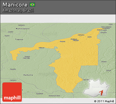 Savanna Style Panoramic Map of Manicore