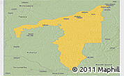 Savanna Style Panoramic Map of Manicore