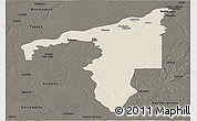 Shaded Relief Panoramic Map of Manicore, darken