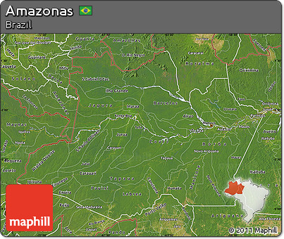 Satellite Map of Amazonas