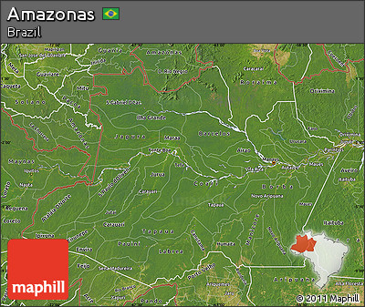 Satellite Map of Amazonas
