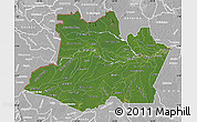 Satellite Map of Amazonas, lighten, desaturated