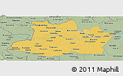 Savanna Style Panoramic Map of Amazonas