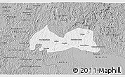 Gray 3D Map of Medeiros Neto