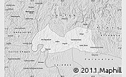 Silver Style Map of Medeiros Neto