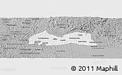 Gray Panoramic Map of Medeiros Neto