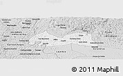 Silver Style Panoramic Map of Medeiros Neto