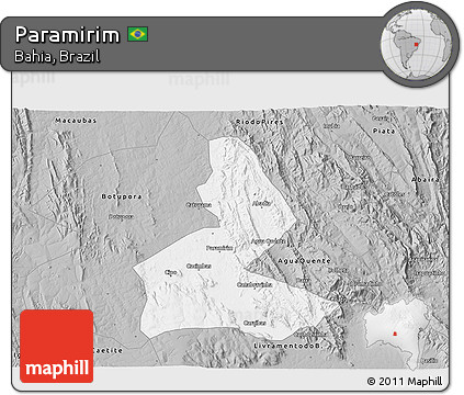 Gray 3D Map of Paramirim