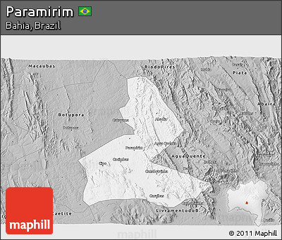Gray 3D Map of Paramirim