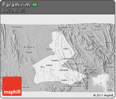 Gray 3D Map of Paramirim