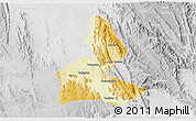 Physical 3D Map of Paramirim, lighten, desaturated