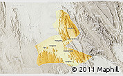 Physical 3D Map of Paramirim, lighten, semi-desaturated