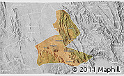 Satellite 3D Map of Paramirim, lighten, desaturated
