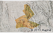 Satellite 3D Map of Paramirim, lighten, semi-desaturated