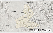 Shaded Relief 3D Map of Paramirim, semi-desaturated