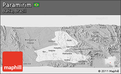 Gray Panoramic Map of Paramirim