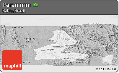 Gray Panoramic Map of Paramirim