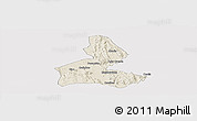 Shaded Relief Panoramic Map of Paramirim, cropped outside
