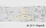 Shaded Relief Panoramic Map of Paramirim, desaturated