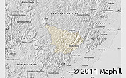 Shaded Relief Map of Alfredo Chaves, desaturated