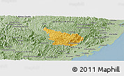 Savanna Style Panoramic Map of Alfredo Chaves
