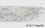 Shaded Relief Panoramic Map of Alfredo Chaves, desaturated
