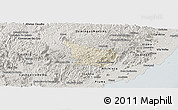 Shaded Relief Panoramic Map of Alfredo Chaves, semi-desaturated