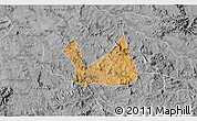 Satellite 3D Map of Diorama, desaturated