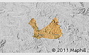 Satellite 3D Map of Diorama, lighten, desaturated