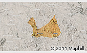 Satellite 3D Map of Diorama, lighten, semi-desaturated