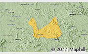 Savanna Style 3D Map of Diorama