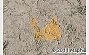 Satellite Map of Diorama, semi-desaturated