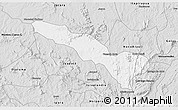 Silver Style 3D Map of Fazenda Nova