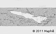 Gray Panoramic Map of Fazenda Nova