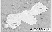 Gray 3D Map of Codo